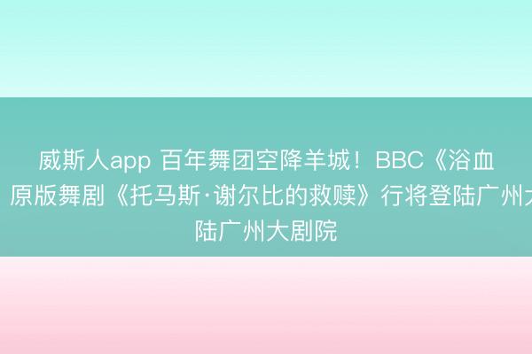 威斯人app 百年舞团空降羊城！BBC《浴血黑帮》原版舞剧《托马斯·谢尔比的救赎》行将登陆广州大剧院