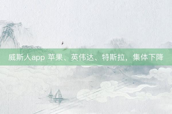 威斯人app 苹果、英伟达、特斯拉，集体下降