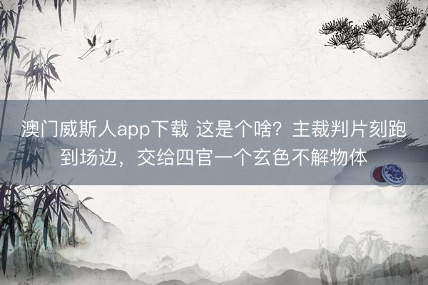 澳门威斯人app下载 这是个啥？主裁判片刻跑到场边，<a href=