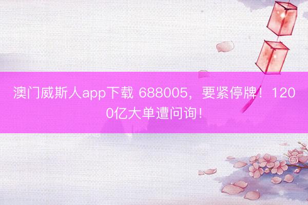 澳门威斯人app下载 688005，要紧停牌！1200亿大单遭问询！