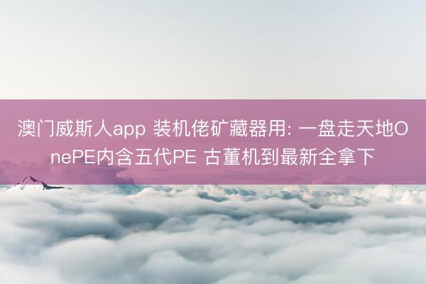 澳门威斯人app 装机佬矿藏器用: 一盘走天地OnePE内含五代PE 古董机到最新全拿下
