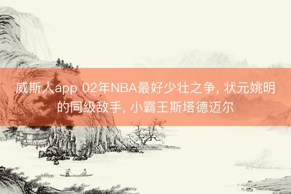 威斯人app 02年NBA最好少壮之争， 状元姚明的同级敌手， 小霸王斯塔德迈尔