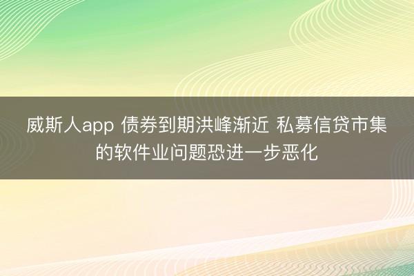 威斯人app 债券到期洪峰渐近 私募信贷市集的软件业问题恐进一步恶化