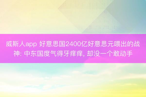 威斯人app 好意思国2400亿好意思元喂出的战神: 中东国度气得牙痒痒， 却没一个敢动手