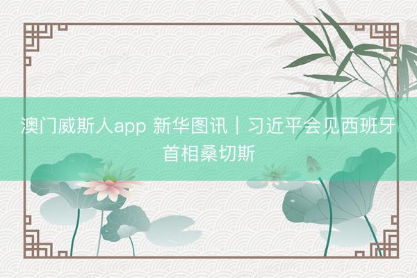 澳门威斯人app 新华图讯｜习近平会见西班牙首相桑切斯