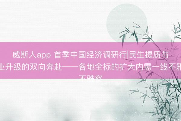 威斯人app 首季中国经济调研行|民生提质与产业升级的双向奔赴——各地全标的扩大内需一线不雅察