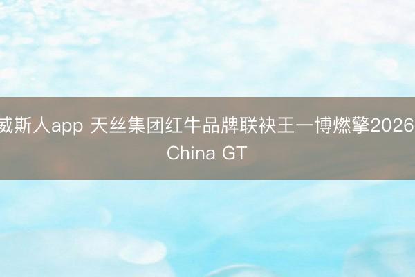 威斯人app 天丝集团红牛品牌联袂王一博燃擎2026 China GT