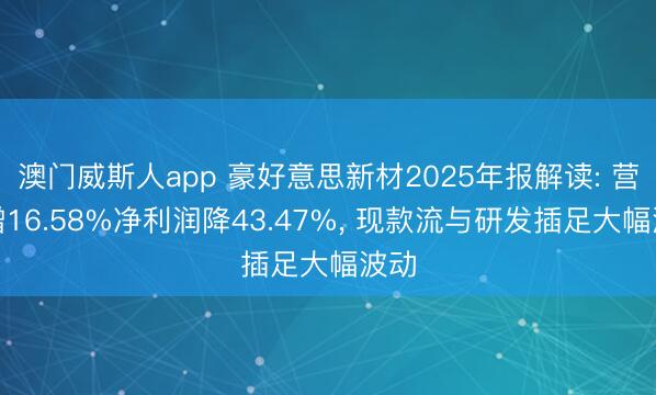 澳门威斯人app 豪好意思新材2025年报解读: 营收增16.58%净利润降43.47%， 现款流与研发插足大幅波动