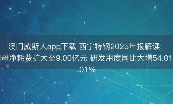 澳门威斯人app下载 西宁特钢2025年报解读: 归母净耗费扩大至9.00亿元 研发用度同比大增54.01%