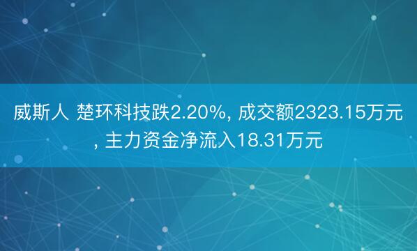 威斯人 楚环科技跌2.20%， 成交额2323.15万元， 主力资金净流入18.31万元