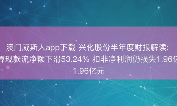 澳门威斯人app下载 兴化股份半年度财报解读: 打算现款流净额下滑53.24% 扣非净利润仍损失1.96亿元