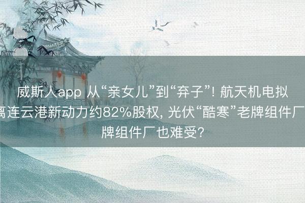威斯人app 从“亲女儿”到“弃子”! 航天机电拟清仓剥离连云港新动力约82%股权， 光伏“酷寒”老牌组件厂也难受?