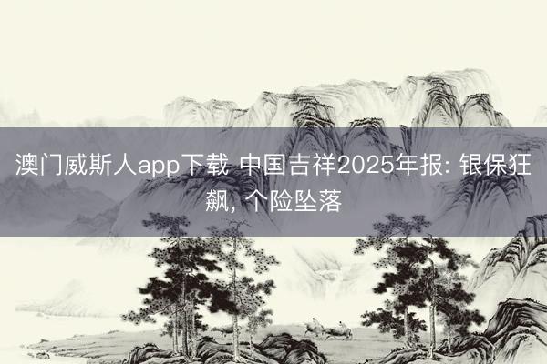 澳门威斯人app下载 中国吉祥2025年报: 银保狂飙， 个险坠落