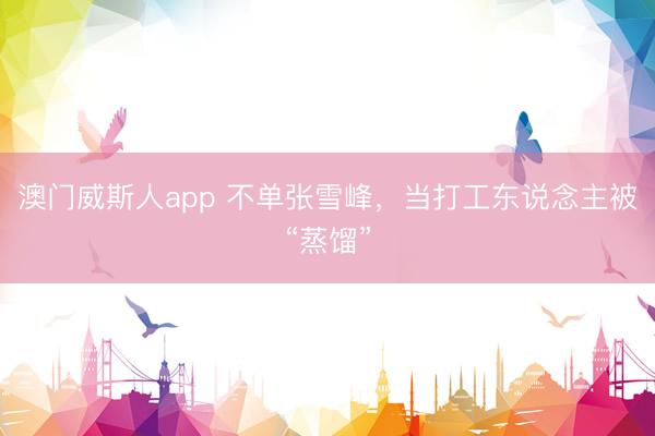 澳门威斯人app 不单张雪峰，当打工东说念主被“蒸馏”