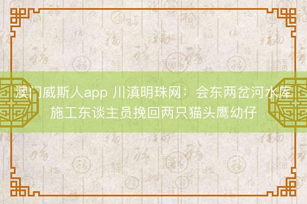澳门威斯人app 川滇明珠网：会东两岔河水库施工东谈主员挽回两只猫头鹰幼仔