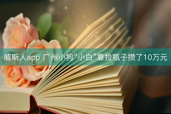 威斯人app 广州小狗“小白”靠捡瓶子攒了10万元