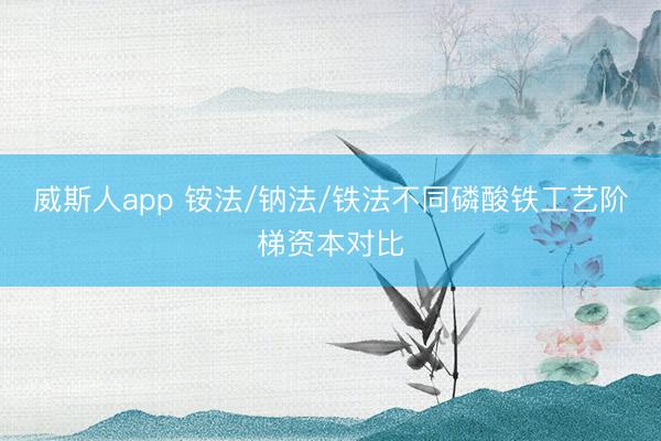 威斯人app 铵法/钠法/铁法不同磷酸铁工艺阶梯资本对比