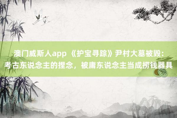 澳门威斯人app 《护宝寻踪》尹村大墓被毁：考古东说念主的捏念，被庸东说念主当成捞钱器具