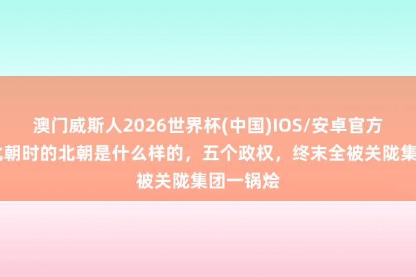 澳门威斯人2026世界杯(中国)IOS/安卓官方下载 南北朝时的北朝是什么样的，五个政权，终末全被关陇集团一锅烩