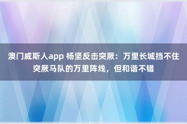 澳门威斯人app 杨坚反击突厥：万里长城挡不住突厥马队的万里阵线，但和谐不错