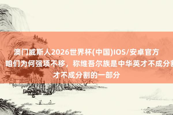 澳门威斯人2026世界杯(中国)IOS/安卓官方下载 今天，咱们为何强项不移，称维吾尔族是中华英才不成分割的一部分