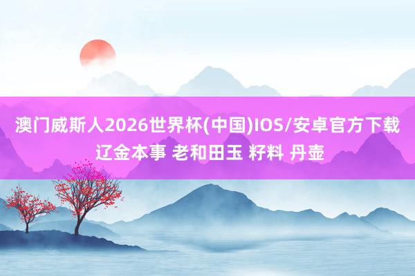 澳门威斯人2026世界杯(中国)IOS/安卓官方下载 辽金本事 老和田玉 籽料 丹壶