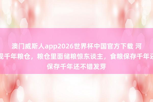 澳门威斯人app2026世界杯中国官方下载 河南洛阳发现千年粮仓，粮仓里面储粮惊东谈主，食粮保存千年还不错发芽
