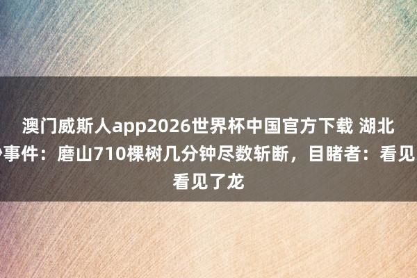 澳门威斯人app2026世界杯中国官方下载 湖北奥妙事件：磨山710棵树几分钟尽数斩断，目睹者：看见了龙