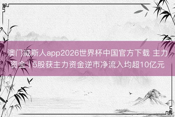 澳门威斯人app2026世界杯中国官方下载 主力资金 | 5股获主力资金逆市净流入均超10亿元