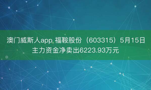 澳门威斯人app 福鞍股份（603315）5月15日主力资金净卖出6223.93万元