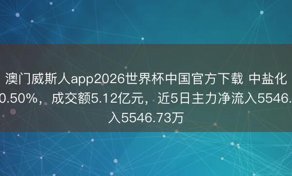 澳门威斯人app2026世界杯中国官方下载 中盐化工涨0.50%，成交额5.12亿元，近5日主力净流入5546.73万
