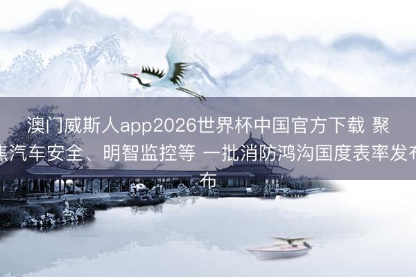 澳门威斯人app2026世界杯中国官方下载 聚焦汽车安全、明智监控等 一批消防鸿沟国度表率发布