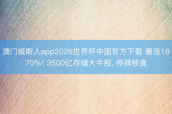澳门威斯人app2026世界杯中国官方下载 暴涨1670%! 3500亿存储大牛股， 停牌核查
