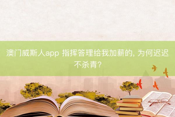 澳门威斯人app 指挥答理给我加薪的， 为何迟迟不杀青?