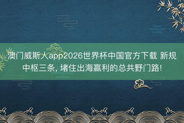 澳门威斯人app2026世界杯中国官方下载 新规中枢三条， 堵住出海赢利的总共野门路!