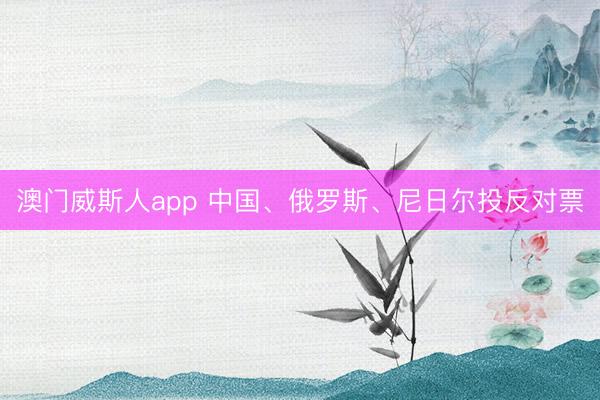 澳门威斯人app 中国、俄罗斯、尼日尔投反对票