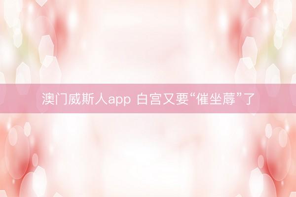 澳门威斯人app 白宫又要“催坐蓐”了