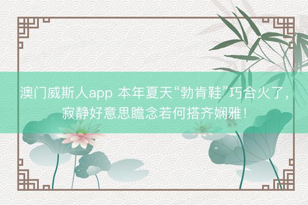澳门威斯人app 本年夏天“勃肯鞋”巧合火了，寂静好意思瞻念若何搭齐娴雅！