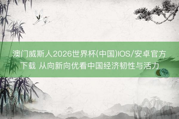 澳门威斯人2026世界杯(中国)IOS/安卓官方下载 从向新向优看中国经济韧性与活力
