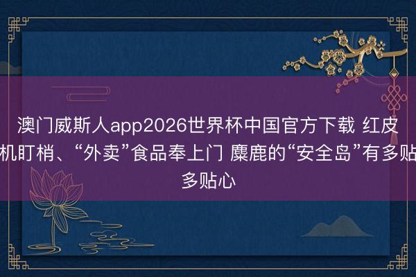 澳门威斯人app2026世界杯中国官方下载 红皮毛机盯梢、“外卖”食品奉上门 麋鹿的“安全岛”有多贴心