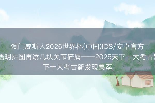 澳门威斯人2026世界杯(中国)IOS/安卓官方下载 中中语明拼图再添几块关节碎屑——2025天下十大考古新发现集萃