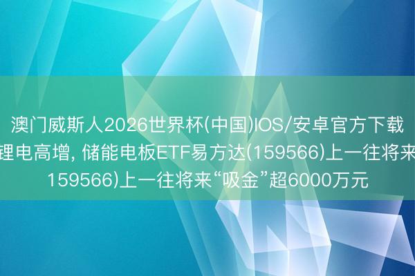 澳门威斯人2026世界杯(中国)IOS/安卓官方下载 储能出口双轮运转锂电高增， 储能电板ETF易方达(159566)上一往将来“吸金”超6000万元
