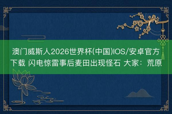 澳门威斯人2026世界杯(中国)IOS/安卓官方下载 闪电惊雷事后麦田出现怪石 大家：荒原
