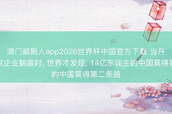 澳门威斯人app2026世界杯中国官方下载 当丹麦靠几家企业躺赢时, 世界才发现, 14亿东谈主的中国莫得第二条路